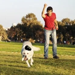 KONG Extreme Black -Pet Supplies Store 74319 kongextremeschwarz hs 02 0