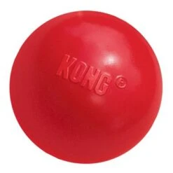 KONG Ball