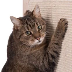 Natural Paradise Scratching Barrel - Daisy 17 Natural Paradise Scratching Barrel - Daisy -Pet Supplies Store 75376 kratztonne np kahone fg 5701 2