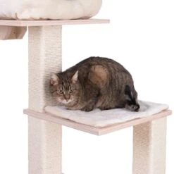 Natural Paradise Scratching Tree - Orchid Vanda L -Pet Supplies Store 75552 kratzbaum np quadra fg 6204 8