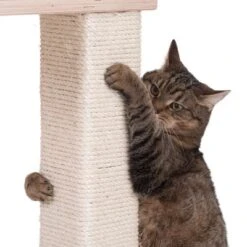 Natural Paradise Scratching Tree - Orchid Vanda L -Pet Supplies Store 75552 kratzbaum np quadra fg 6205 0