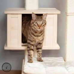 Natural Paradise Scratching Tree - Orchid Vanda L -Pet Supplies Store 75552 np kb qiii 1000x1000 logo la mg 5796 4