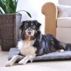 Pawz & Pepper Aurora Ortho Dog Mattress 12 Pawz & Pepper Aurora Ortho Dog Mattress -Pet Supplies Store 78424 petlando pawzpepper hundekissen denver hs 08 6