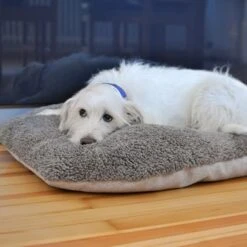 Pawz & Pepper Denver Ortho Dog Cushion 13 Pawz & Pepper Denver Ortho Dog Cushion -Pet Supplies Store 78610 petlando pawzpepper hundekissen auroraortho hs 09 5