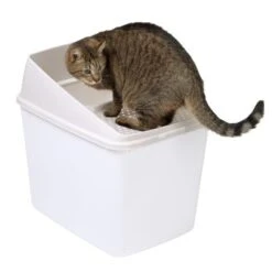 Big Box Cat Litter Tray 13 Big Box Cat Litter Tray -Pet Supplies Store 78725 top entry katzentoilette fg 7268 1