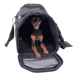 Diamond Travel Bag 12 Diamond Travel Bag -Pet Supplies Store 79331 tragetasche hund fg 7511 8