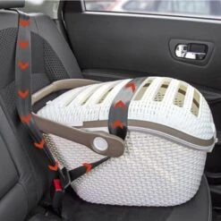 Curver Transport Box -Pet Supplies Store 79713 karlie curver transportbox hs 04 2 1