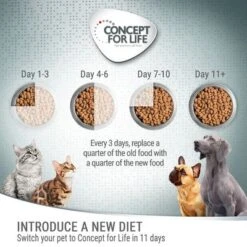 Concept For Life Kitten – In Gravy -Pet Supplies Store 7 cfl board feeding 1000x1000 1 5