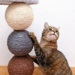 Planet Scratch Post -Pet Supplies Store 80399 kratzbaum und katze fg 1295 4