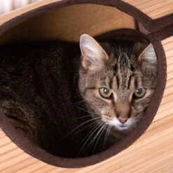 Natural Retreat Radiator Cat Bed 15 Natural Retreat Radiator Cat Bed -Pet Supplies Store 80410 heizungsliege natural retreat fg 9182 9