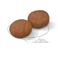 Royal Canin Medium Adult 7+ -Pet Supplies Store 80651 royalcanin mediumadult 7plus 15kg hs 02 9