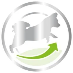 Royal Canin X-Small Adult 8+ 8 Royal Canin X-Small Adult 8+ -Pet Supplies Store 80654 royalcanin packshot xsmall 8plus 3kg picto hs 03 2