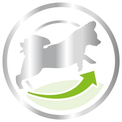 Royal Canin X-Small Adult 8+ 5 Royal Canin X-Small Adult 8+ - Image 3