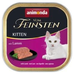 Mixed Megapack Animonda Vom Feinsten Adult 32 X 100g -Pet Supplies Store 80674 pla animonda vomfeinsten kitten mitlamm 100g hs 01 0
