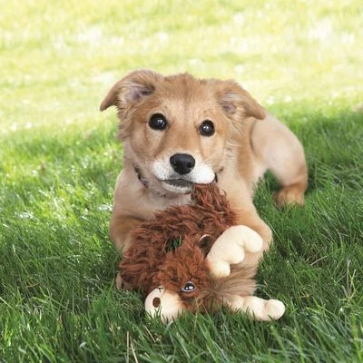 KONG Trekkers Moose 4 KONG Trekkers Moose - Image 2