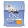 Purina ONE Coat And Hairball Chicken