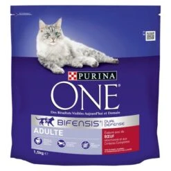 Purina ONE Adult Beef