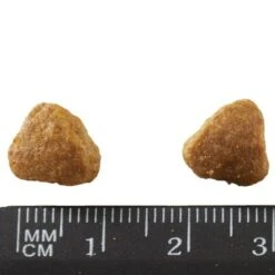 Purina ONE Adult Sea Fish -Pet Supplies Store 81719 purinaone adultmeeresfisch 3kg hs 03 5