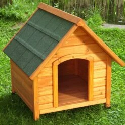 Spike Comfort Dog Kennel -Pet Supplies Store 82493 1 detail 1