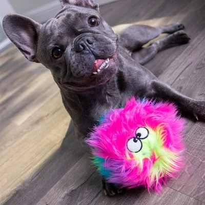 GoDog® Rainbow Furballz 4 GoDog® Rainbow Furballz - Image 2