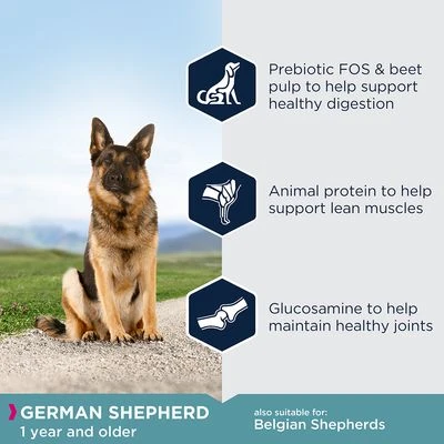 Eukanuba German Shepherd Adult 4 Eukanuba German Shepherd Adult - Image 2