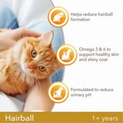 IAMS For Vitality Adult Hairball Reduction Fresh Chicken Dry Cat Food -Pet Supplies Store 8710255127064 5