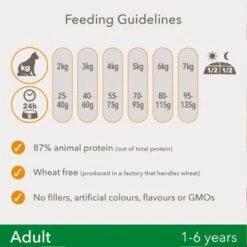 IAMS For Vitality Adult Lamb Dry Cat Food -Pet Supplies Store 8710255127200 2 1