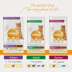IAMS For Vitality Adult Lamb Dry Cat Food -Pet Supplies Store 8710255127200 3 3