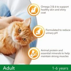 IAMS For Vitality Adult Lamb Dry Cat Food -Pet Supplies Store 8710255127200 4