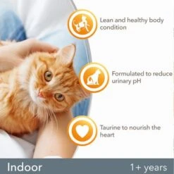 IAMS For Vitality Adult Indoor Fresh Chicken Dry Cat Food -Pet Supplies Store 8710255150451 3