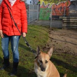 Julius K9 JULIUS-K9 IDC® Adjustable Rope Lead 13 Julius K9 JULIUS-K9 IDC® Adjustable Rope Lead -Pet Supplies Store 89698 juliusk9 idcadjustableropeleash hs 11 2