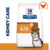 Hill's Prescription Diet Feline K/d Kidney Care - Chicken -Pet Supplies Store 91 pd kd chicken cat bk24099m plp uk 0