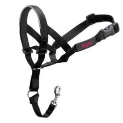 Halti Head Collar - Black