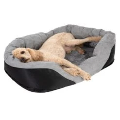 Lazy Dog Bed -Pet Supplies Store 98297 koenigspudel fg 4710 2