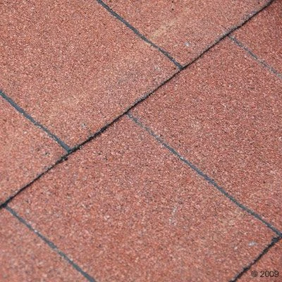 Dog Kennel Spike Special 9 Dog Kennel Spike Special - Image 7