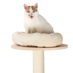 Natural Paradise Wall Scratching Tree - Magnolia -Pet Supplies Store 993967 np kratzbaum wand fg 5352 5