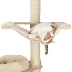 Natural Paradise Wall Scratching Tree - Magnolia -Pet Supplies Store 993967 np kratzbaum wand fg 5364 3
