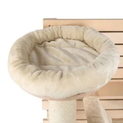 Natural Paradise Wall Scratching Board - Dahlia 17 Natural Paradise Wall Scratching Board - Dahlia -Pet Supplies Store 99396 np creativ wall fun fg 5298 6