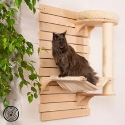 Natural Paradise Wall Scratching Board - Dahlia