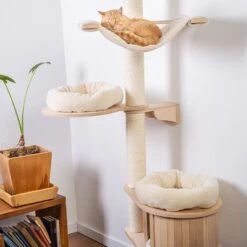 Natural Paradise Wall Scratching Tree - Magnolia -Pet Supplies Store 99397 naturalparadise wandkratzbaum magnolia hs 06 9