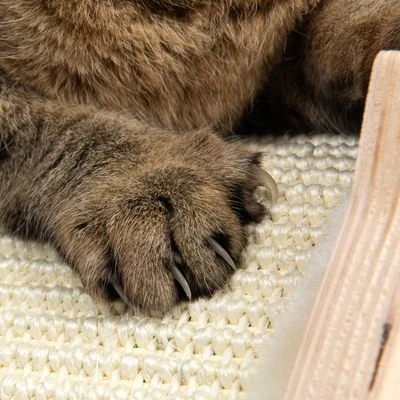 Natural Paradise Scratching Mat Cat Bed - Peony 10 Natural Paradise Scratching Mat Cat Bed - Peony - Image 8