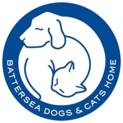 Pet Teezer De-shedding Brush Small 12 Pet Teezer De-shedding Brush Small -Pet Supplies Store 99699 newflag petteezer desheddingbrush purple hs 06 4 1