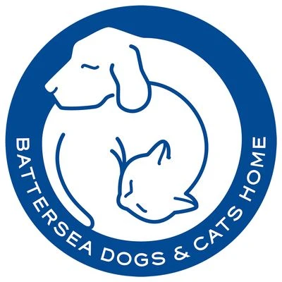 Pet Teezer De-shedding Brush Small 7 Pet Teezer De-shedding Brush Small - Image 5