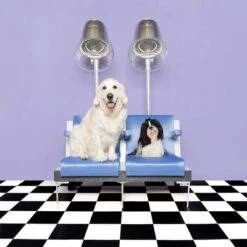 Pet Teezer De-shedding Brush 15 Pet Teezer De-shedding Brush -Pet Supplies Store 99699 newflag petteezer desheddingbrush purple hs 09 3