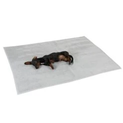 Heim Boil-Proof Dog Blanket -Pet Supplies Store 99720 kochfeste decke fg 4324 0