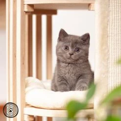 Natural Paradise Scratching Barrel - Lily -Pet Supplies Store 99937 np kt pb 1000x1000 logo la mg 6231 6