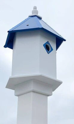Sycamore Bird House With Cobalt Blue Roof 7 Sycamore Bird House With Cobalt Blue Roof -Pet Supplies Store AWP SYCHSE CB ACC 480x800 ec281e8f 3936 4e35 b917 28f51139809f