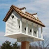 Martinsburg Purple Martin Manor, 6 Room 1 Martinsburg Purple Martin Manor, 6 Room -Pet Supplies Store HBA 1003 400x400 5e7a85ba 333a 415e b565 20a8d467fb69