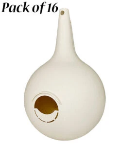 Purple Martin Two-Piece Gourd With Crescent SREH - 16 Pack