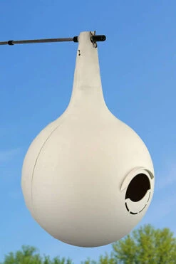 Purple Martin Two-Piece Gourd With Crescent SREH - 16 Pack -Pet Supplies Store HMC 30016 ACC3 400x600 b3431012 3f5c 4213 bf0c d992a514d902